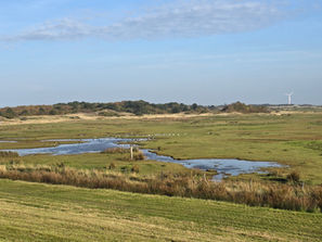 Spiekeroog Landschaft