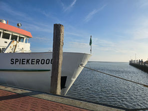 Spiekeroog Landschaft
